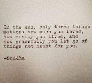 Buddha quote 2